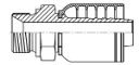 BSPP MALE STR.webp