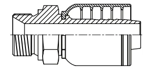 BSPP MALE STR.webp