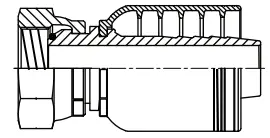 [B20-20SPXF] 20 X 20 BSPP 4Wire STRA FEMALE, 1-1/4"-11 X 1.1/4" HOSE